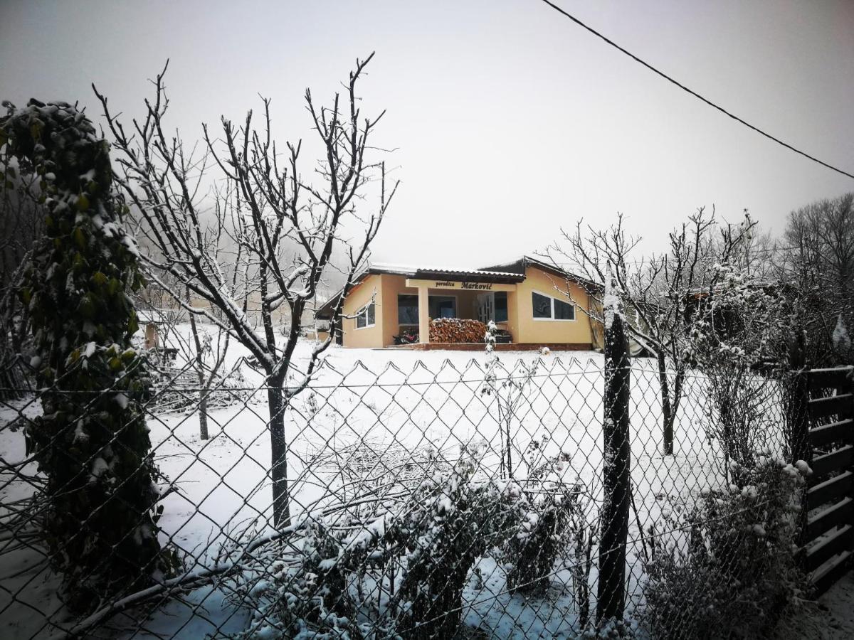"Porodica Markovic" Borsko Jezero Beljevina Екстериор снимка
